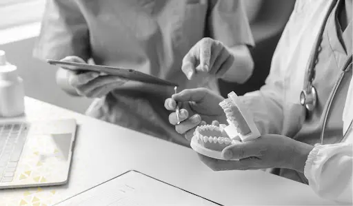 two people holding a 3d model of teeth while looking at a laptop