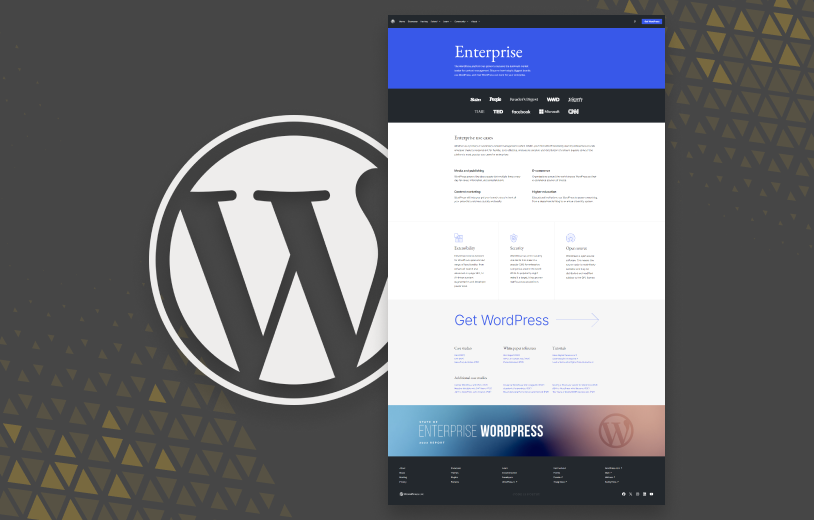 An image of a website with the Wordpress Logo